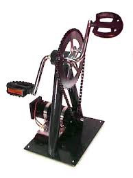 Image result for photos of human generator