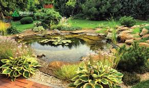 Will a pond help drainage