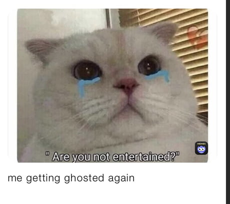 20+ Hilarious Ghosting Memes When Your Love Life Is Haunted by Disappearing Dates