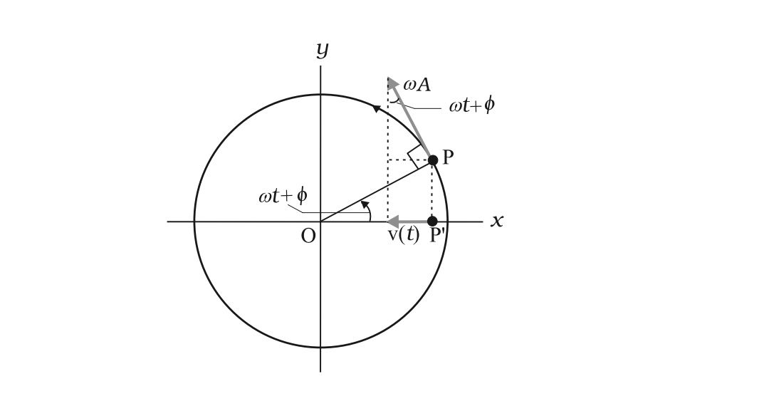 Velocity analysis in simple harmonic motion