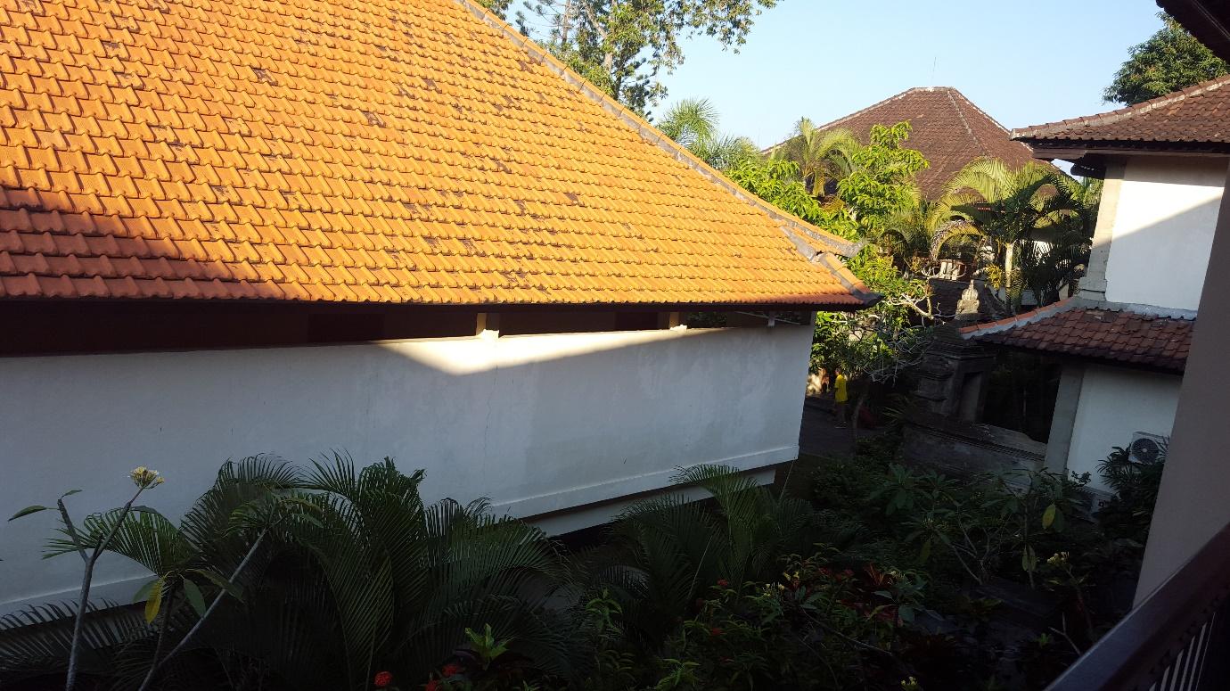 C:\___Bali_Aug15\7_Ubud\2015-08-23 02.45.28.jpg