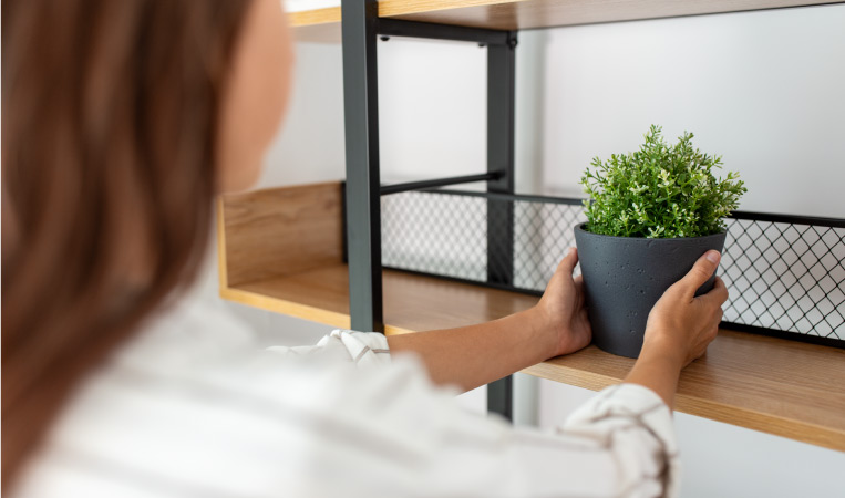 A young woman placing a small flowering plant on a shelf to add a splash of green to her dorm room.