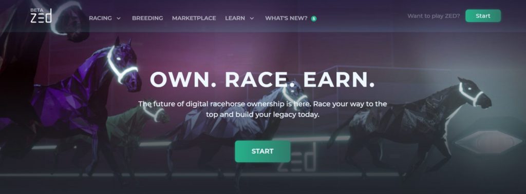 A Deep Dive into Metaverse Marketing : Zed Run