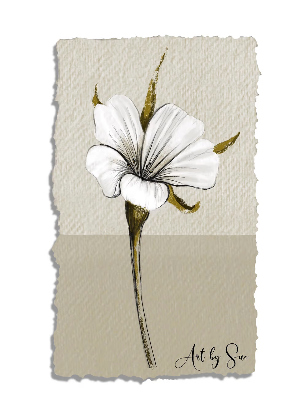 digital flower drawing
