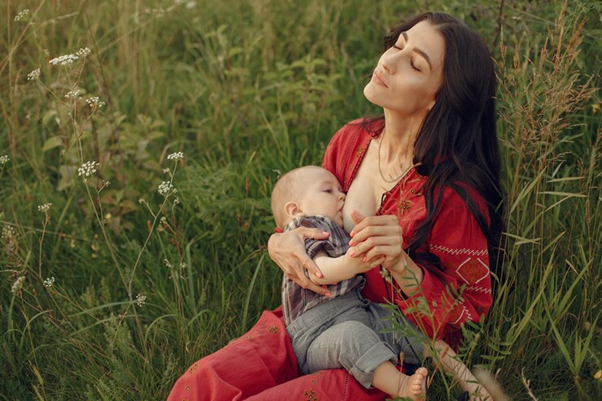 olahan daun katuk image mamabear