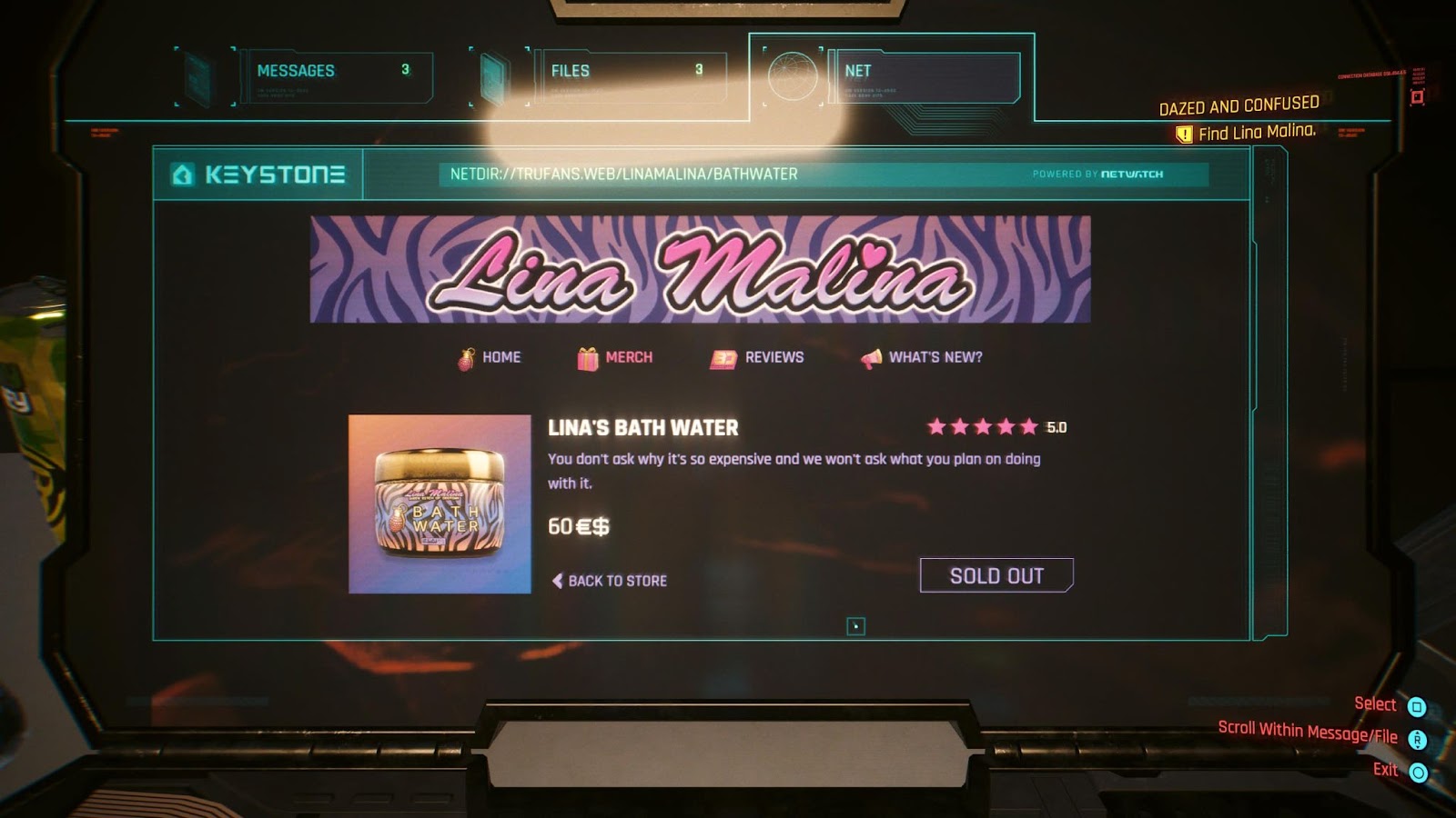 An in game screenshot of Lina Malina's website from the game Cyberpunk 2077. 