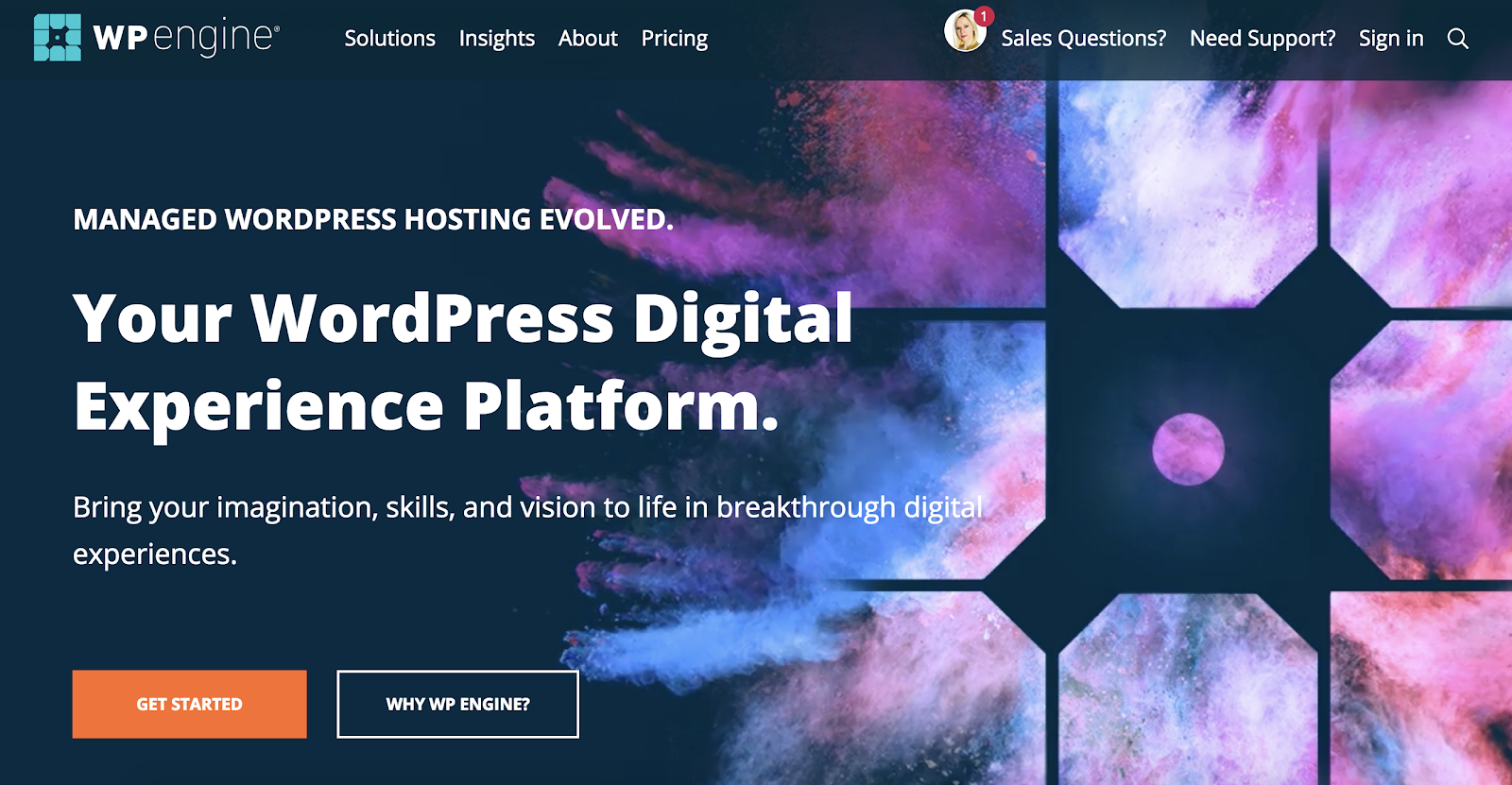 WP Engine platform for WordPress website
