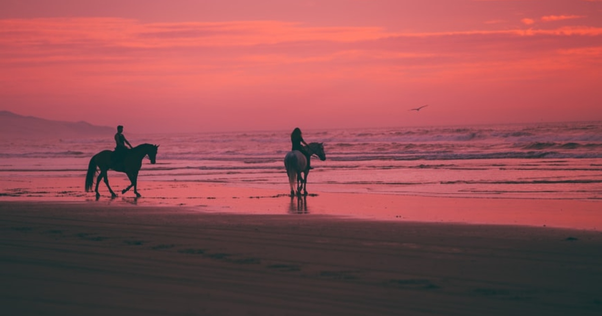 horseback riding gift