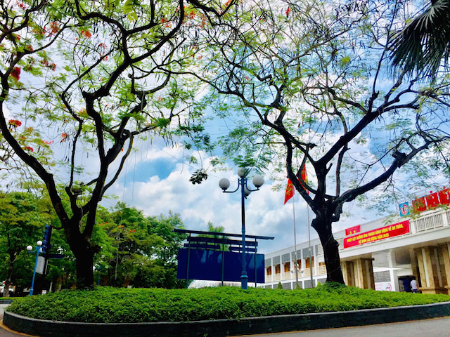 Nguyên tắc cắt tỉa cây xanh tại phú riềng cho bệnh viện