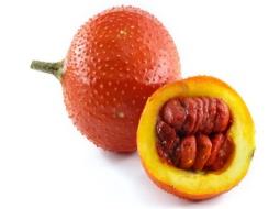 Gak-Fruchtsamen und Samenpflanzmethode