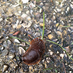 Photo n°5 de l'avis de Michele.a fait le 05/05/2024 à 15:57 sur le  Il laghetto à Visso