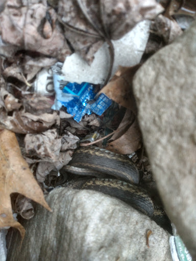 Department Store «Walmart Supercenter», reviews and photos, 2100 Summit Ridge Plaza, Mt Pleasant, PA 15666, USA