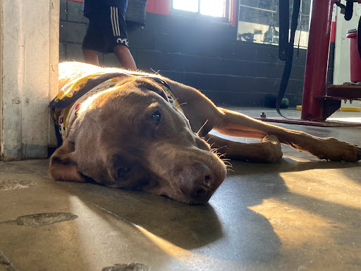 Gym «Winter haven boxing gym», reviews and photos, 2406 Avenue G NW, Winter Haven, FL 33880, USA