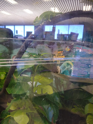 Pet Supply Store «Petco Animal Supplies», reviews and photos, 1410 N Loop 336 W, Conroe, TX 77304, USA