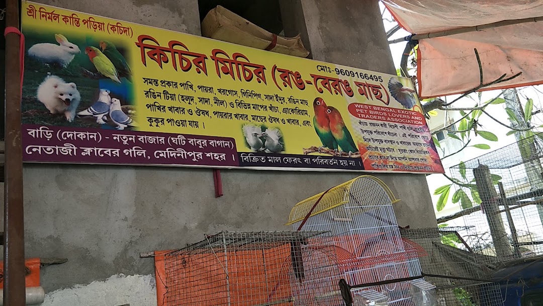 কিচির মিচির