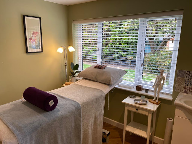 The Avenue Acupuncture Clinic