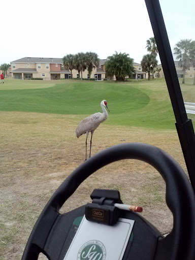 Golf Club «Stoneybrook West Golf Club», reviews and photos, 15501 Towne Commons Blvd, Winter Garden, FL 34787, USA