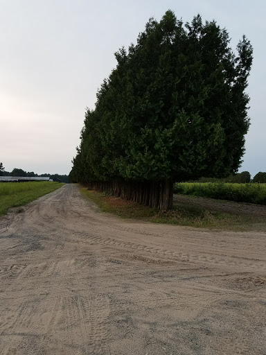 Golf Course «Saratoga Spa Golf Course», reviews and photos, 60 Roosevelt Dr, Saratoga Springs, NY 12866, USA