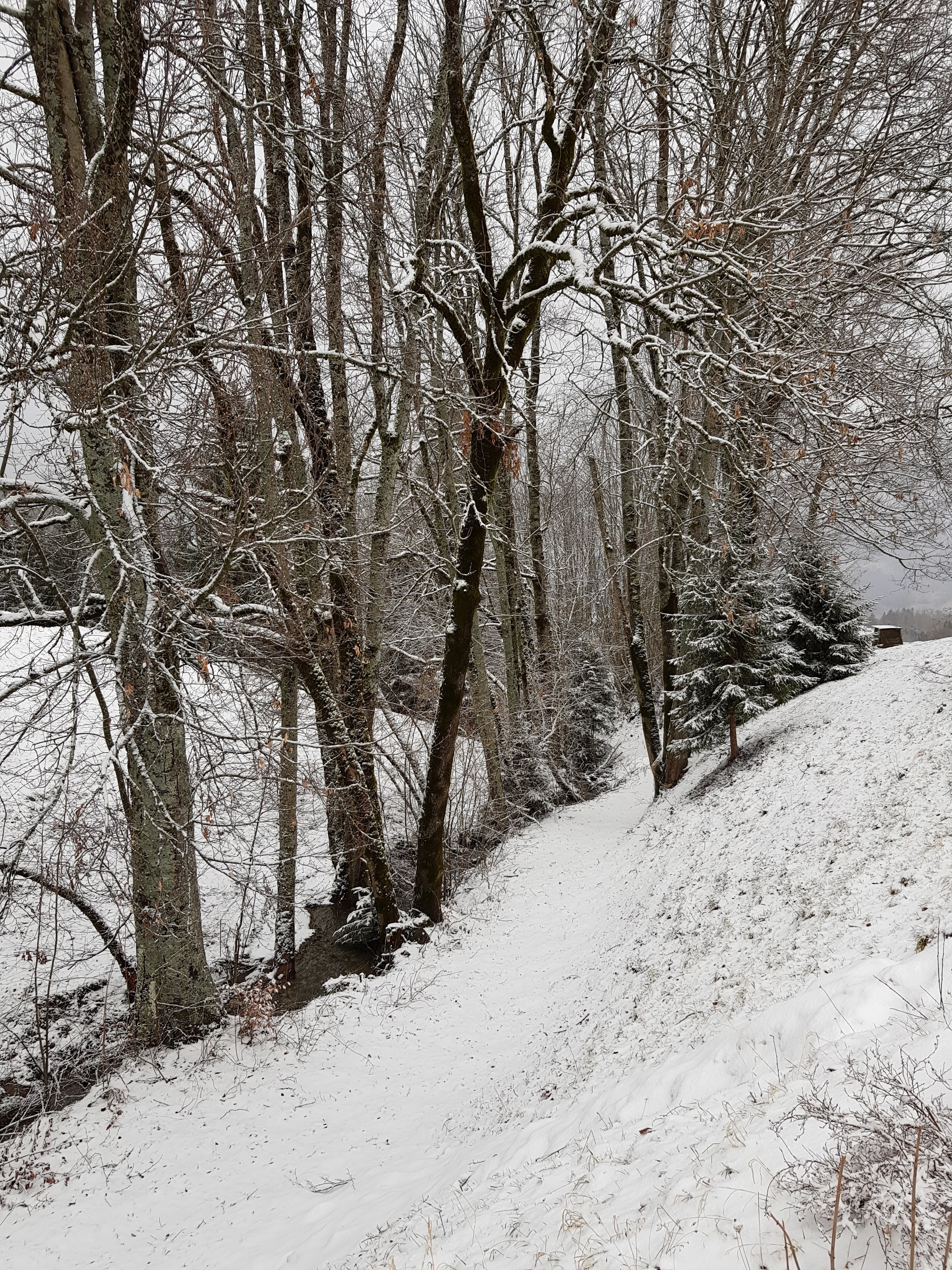 Photo n° 7 de l'avis de Francis.e fait le 05/02/2020 à 17:36