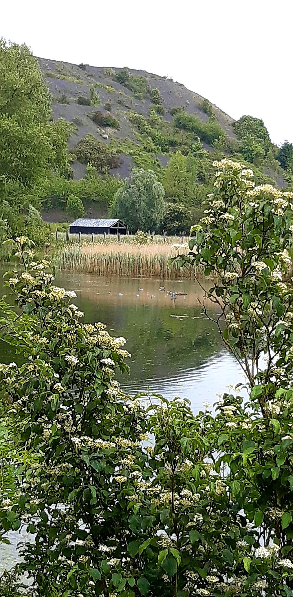 Photo n° 15 de l'avis de Lore.e fait le 24/05/2020 à 16:12