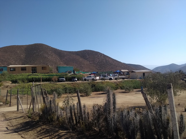 Camping Los Corrales - Ovalle