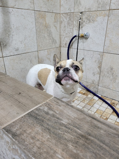 Pet Supply Store «The Natural Pet Outlet», reviews and photos, 3380 Fairfield Ave, Bridgeport, CT 06605, USA