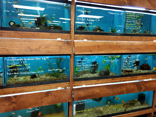 Pet Supply Store «Sunflower Natural Pet Supplies», reviews and photos, 514 Pillsbury Dr, Manhattan, KS 66502, USA