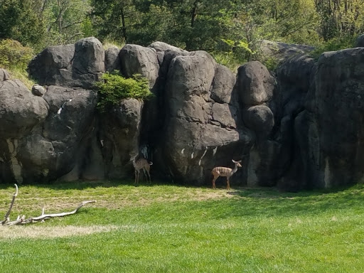 Zoo «The Maryland Zoo in Baltimore», reviews and photos, 1 Safari Place, Baltimore, MD 21217, USA