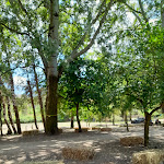 Photo n°1 de l'avis de ekaterina.i fait le 14/07/2022 à 06:55 sur le  Farmhouse Villa Mirto à Pioppo