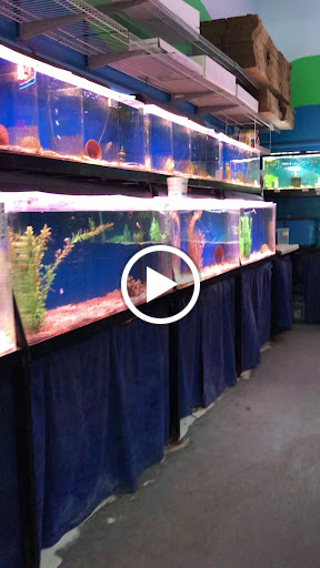 Pet Store «World of Wet Pets», reviews and photos, 8542 SW Apple Way, Portland, OR 97225, USA