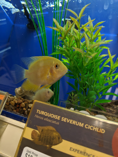 Pet Supply Store «PetSmart», reviews and photos, 2000 Clements Bridge Rd, Woodbury, NJ 08096, USA