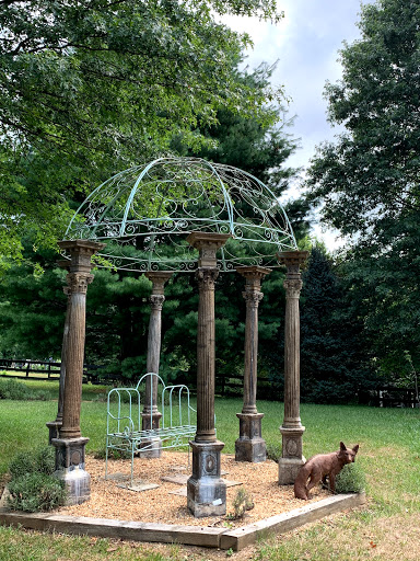 Farm «Blooming Hill Lavender Farm», reviews and photos, 19929 Telegraph Springs Rd, Purcellville, VA 20132, USA