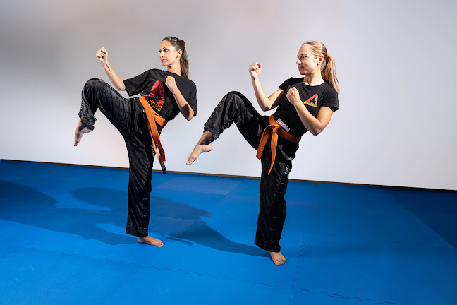 Rezensionen über APEX Kickboxing und Fitness in Allschwil - Fitnessstudio