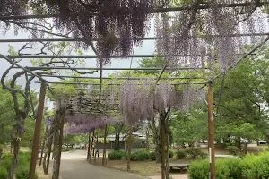 Yume Park image