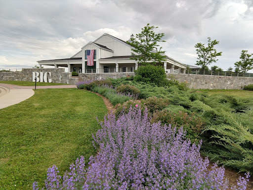 Winery «Big Cork Vineyards», reviews and photos, 4236 Main St, Rohrersville, MD 21779, USA