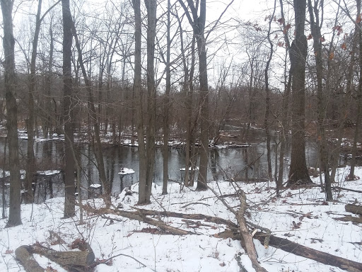 Nature Preserve «Leonard Preserve», reviews and photos, N Union St, Manchester, MI 48158, USA