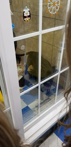 Pet Supply Store «Pets Plus - Bensalem», reviews and photos, 1336 Bristol Pike, Bensalem, PA 19020, USA