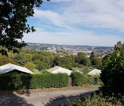 Gartenbauverein Dalster e.V. photo