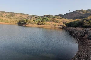 Bhushi Dam image