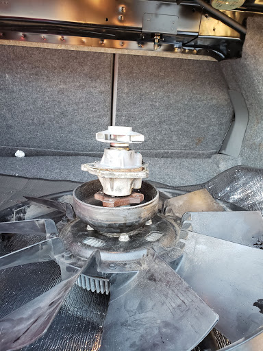 Auto Parts Store «AutoZone», reviews and photos, 10697 Big Bend Rd, Riverview, FL 33579, USA