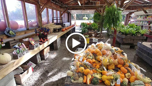 Garden Center «Nalls Produce», reviews and photos, 7310 Beulah St, Alexandria, VA 22315, USA