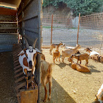 Photo n°26 de l'avis de Daniela.a fait le 15/08/2021 à 16:47 sur le  Al Convivio - Home Restaurant à Coperchia