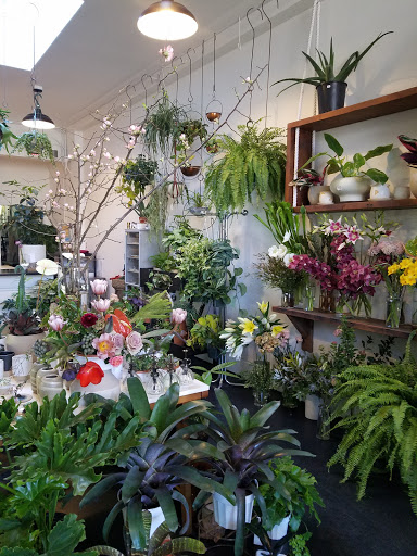 Florist «Starflower», reviews and photos, 3411 SE Belmont St, Portland, OR 97214, USA