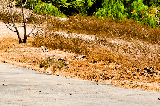 Park «Ernest E. Debs Regional Park», reviews and photos, 4235 Monterey Rd, Los Angeles, CA 90032, USA