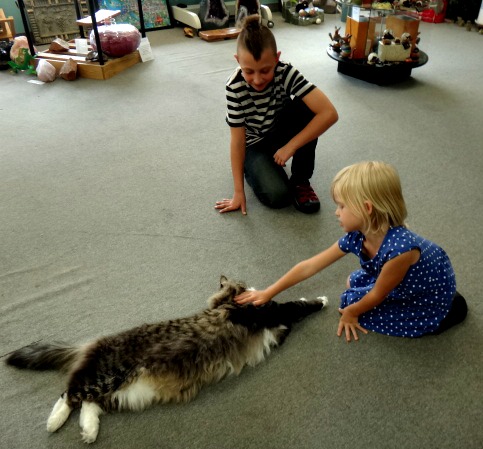 Gift Shop «Spirals of Joy», reviews and photos, 215 E Woodin Ave, Chelan, WA 98816, USA