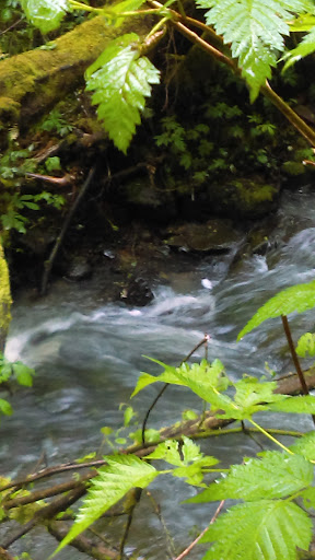 Park «MacLeay Park Entrance», reviews and photos, 2960 NW Upshur St, Portland, OR 97210, USA