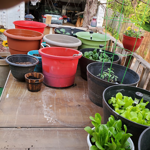 Supermarket «ALDI», reviews and photos, 9759 St Charles Rock Rd, Breckenridge Hills, MO 63114, USA