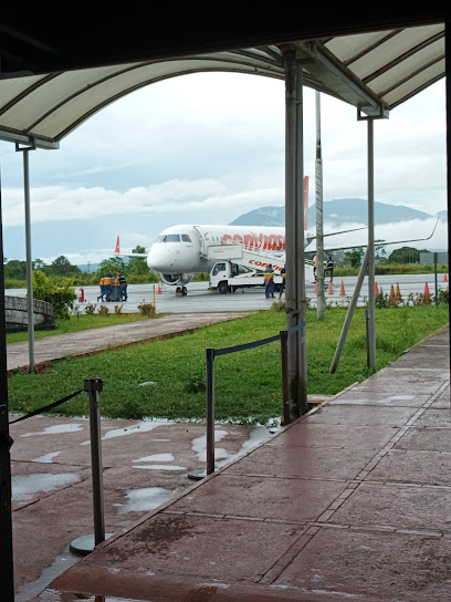 Aeropuerto Internacional Mayor Buenaventura Vivas