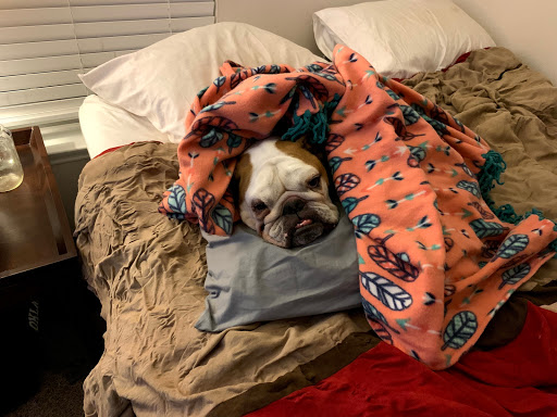 Concrete Contractor «Summit Concrete and Construction Company LLC», reviews and photos, 8022 S Memorial Dr Suite # 200, Tulsa, OK 74133, USA