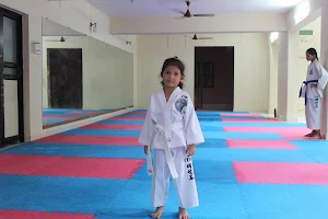 Star Taekwondo & Fitness Academy image